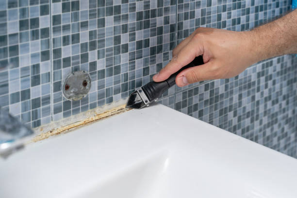 Wild Peach Village, TX Mold Removal Company