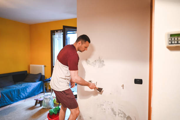  Wild Peach Village, TX Mold Removal Pros