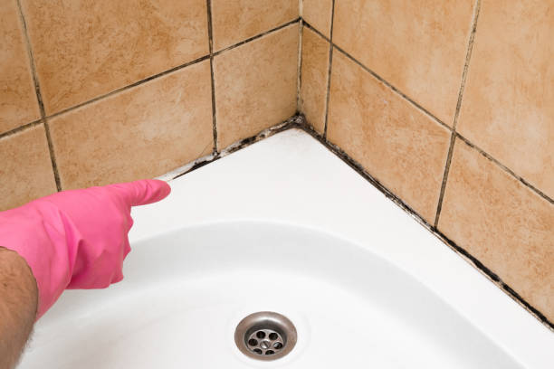 Best Local Mold Removal Service  in Wild Peach Village, TX